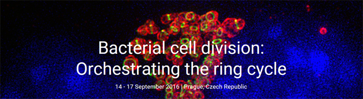 http://events.embo.org/16-bact-cell-div/