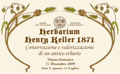 herbarium keller 1871