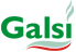 www.galsi.it