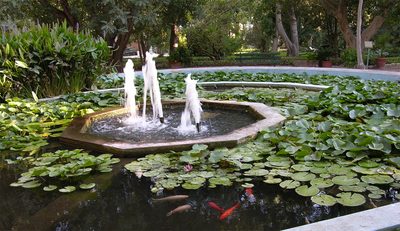 Orto Botanico, una delle vasche ammirabili nel polmone verde di UniCa