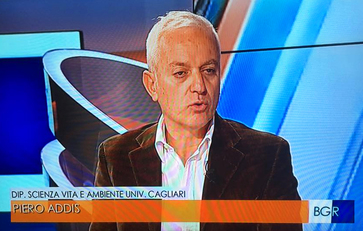 Il professor Addis a Buongiorno Regione, sui RaiTre (archivio Unica.it)