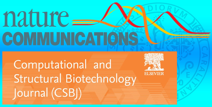 Le ricerche degli esperti di UniCa sulle prestigiose riviste scientifiche &ldquo;Nature Communications&rdquo; e &ldquo;Computational and Structural Biotechnology Journal&rdquo;. A fondo pagina il link ad un precedente servizio di Unica.it sul tema
