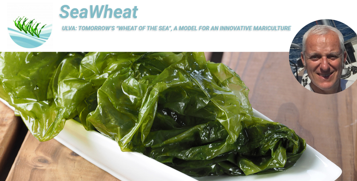 Innovativo network di ricerca internazionale sul tema 'Ulva: tomorrow&rsquo;s &ldquo;wheat of the sea&rdquo;, a model for an innovative mariculture' (Ulva: "il grano del mare" del futuro, modello per una maricoltura innovativa). A destra nell'immagine il professor Addis