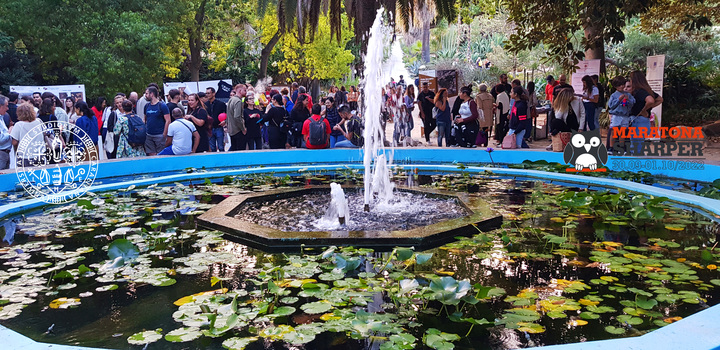 L'Orto botanico dell'Università di Cagliari. Il giardino dell'ateneo, nel centro della città (viale Sant'Ignazio da Laconi) 11), ha ospitato la manifestazione per il secondo anno consecutivo