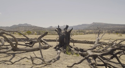 Un altro dei fotogrammi del film
