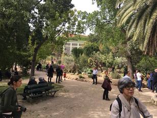 Passeggiata nella bellezza dell'Orto Botanico