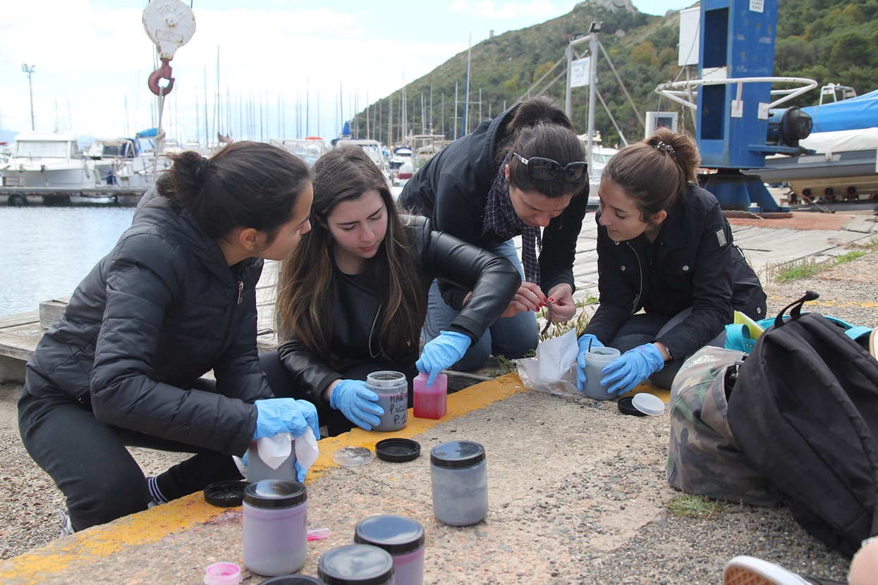 Trattamento dei campioni con “Rosa del Bengala” per  lo studio delle microfaune vive contenute nei sedimenti appena prelevati nel Golfo di Cagliari: eccellenti indicatori di qualità ambientale.