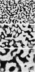 Un'immagine della struttura dell'oro nanoporoso studiato dagli scienziati