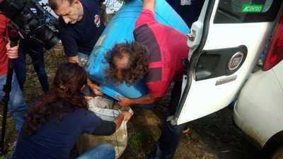 Un altro momento delle operazioni preliminari al rilascio dei giovani esemplari di anguilla