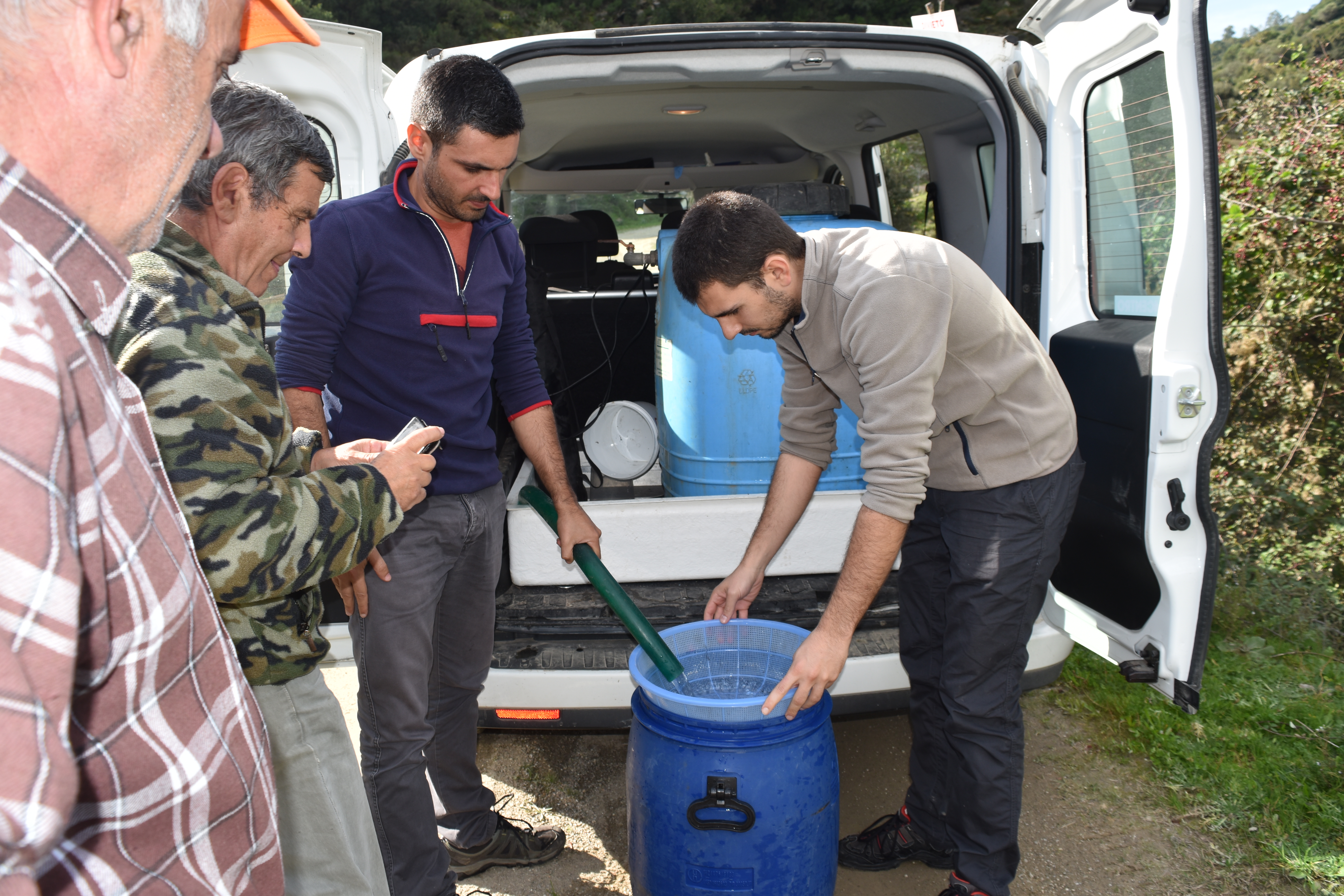 Piano regionale anguilla