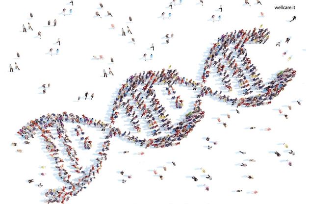 L'immagine genetica della patologia riprodotta da centinaia di volontari