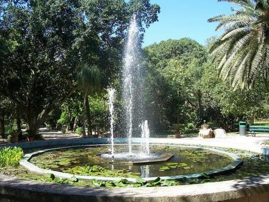 Un'immagine dell'Orto Botanico dell'Università di Cagliari