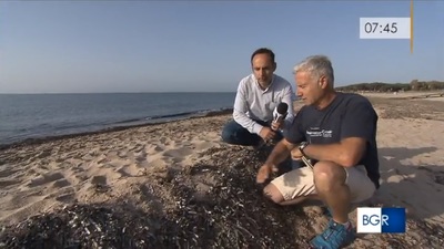 Mauro Scanu e Sandro Demuro sulla spiaggia di Santa Margherita di Pula
