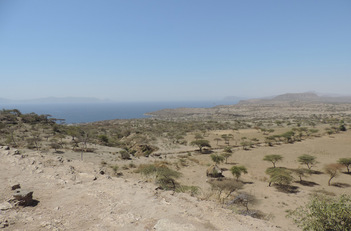 Rift Valley. Immagine panoramica di una delle zone studio del Progetto Flowered