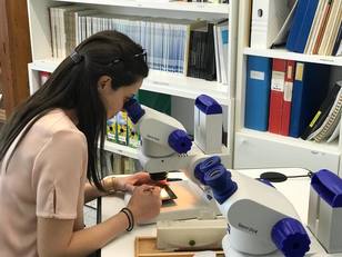 Carla Buosi osserva al microscopio elettronico un campione di sedimento