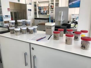 MEDCOASTLAB, il laboratorio di via Riva di Ponente: qui i ricercatori di UniCa tengono sotto controllo la morfologia e i materiali della spiaggia tanto cara ai cagliaritani