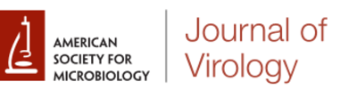 Journal of virology, bibbia del settore ha postato la ricerca "cagliaritana" anche negli high lights
