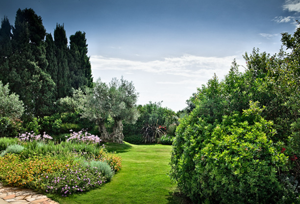 Una splendida immagine di ambiente
