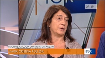 Maria Cristina Follesa a Buongiorno Regione