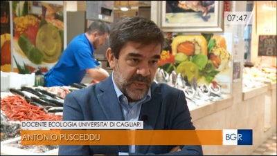 Antonio Pusceddu intervistato dal TG della RAI