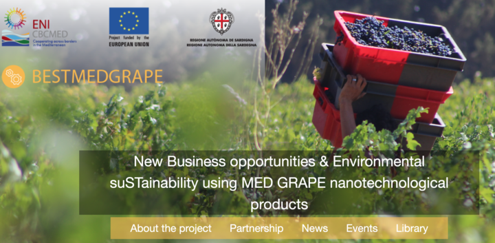 L'immagine di benvenuto nel sito di BESTMEDGRAPE