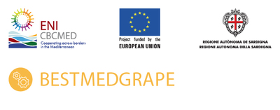 Ancora un successo per la ricerca scientifica di UniCa: riconosciuta dal programma ENI CBC MED la sinergia realizzata con partner di alto livello internazionale