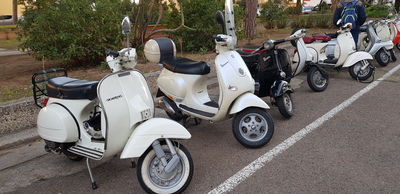 Tanti e tutti pregevoli i modelli di Vespe, "Vespini" e "Vesponi" (nomignoli dati in genere a seconda della cilindrata) portati in ateneo da amatori e collezionisti sardi