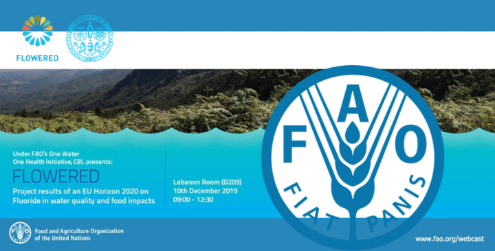 Incontro tecnico FLOWERED/FAO nella Sala "Libano" del quartier generale della Food and Agriculture Organization a Roma (viale Aventino angolo viale delle Terme di Caracalla)