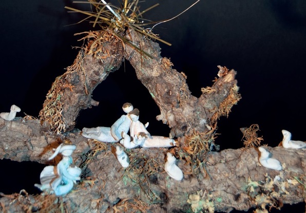 Un particolare di una delle opere esposte al Museo Botanico Karalitano