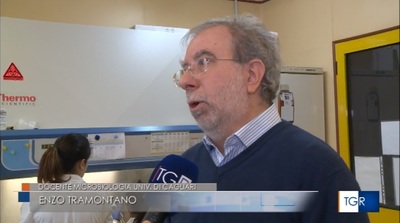 Enzo Tramontano durante una recente intervista
