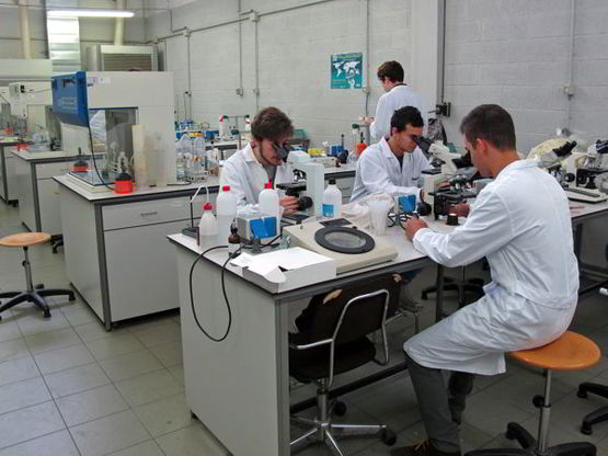 Ricerca in un laboratorio, immagine simbolo