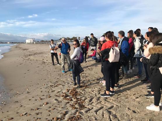 Sandro Demuro con un gruppo di studenti durante una lezione sulla spiaggia del Poetto