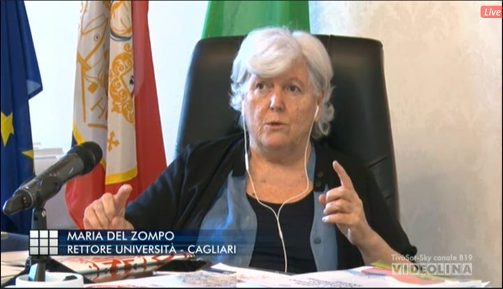 del zompo monitor.jpg