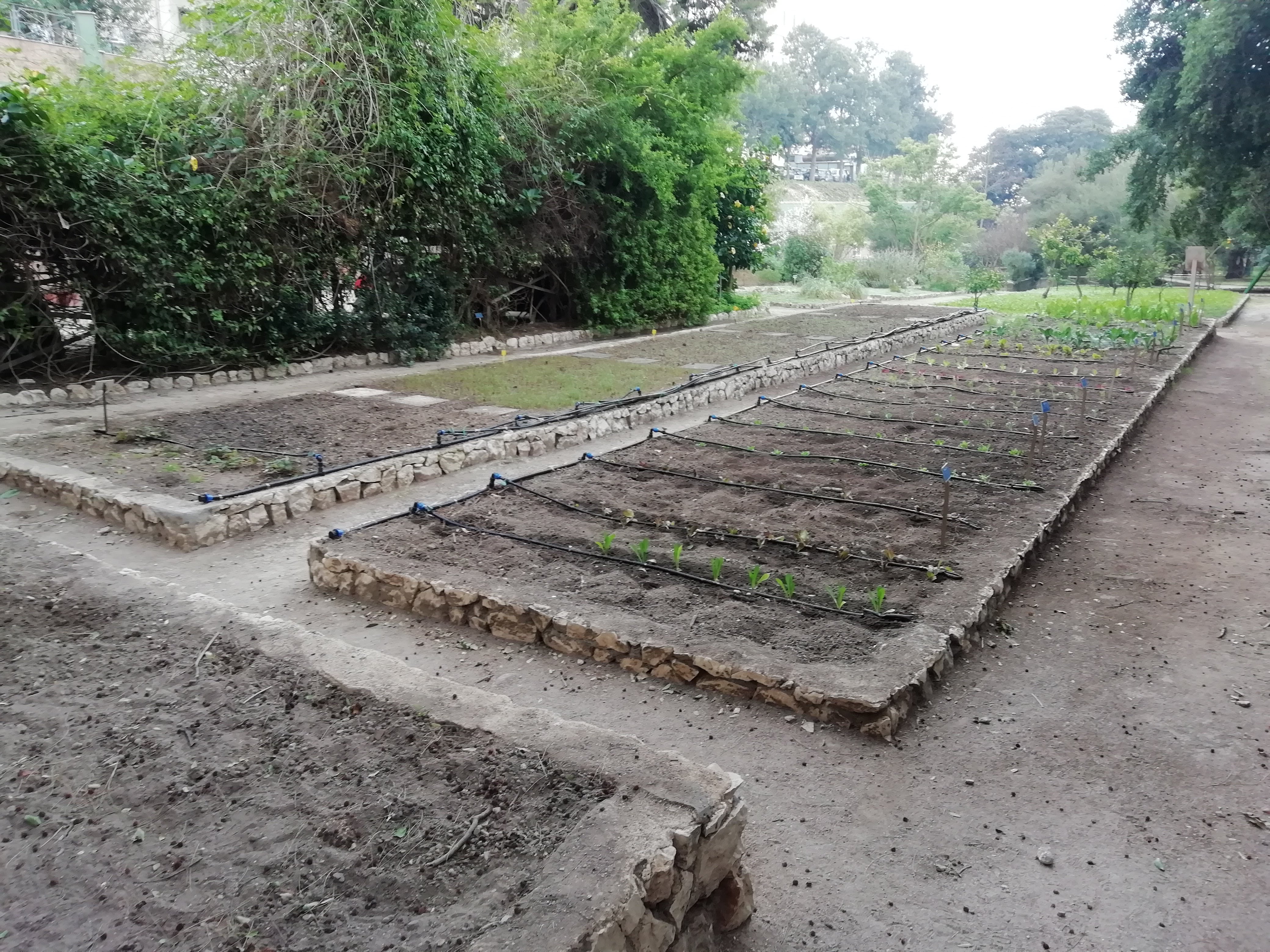 I campi sperimentali