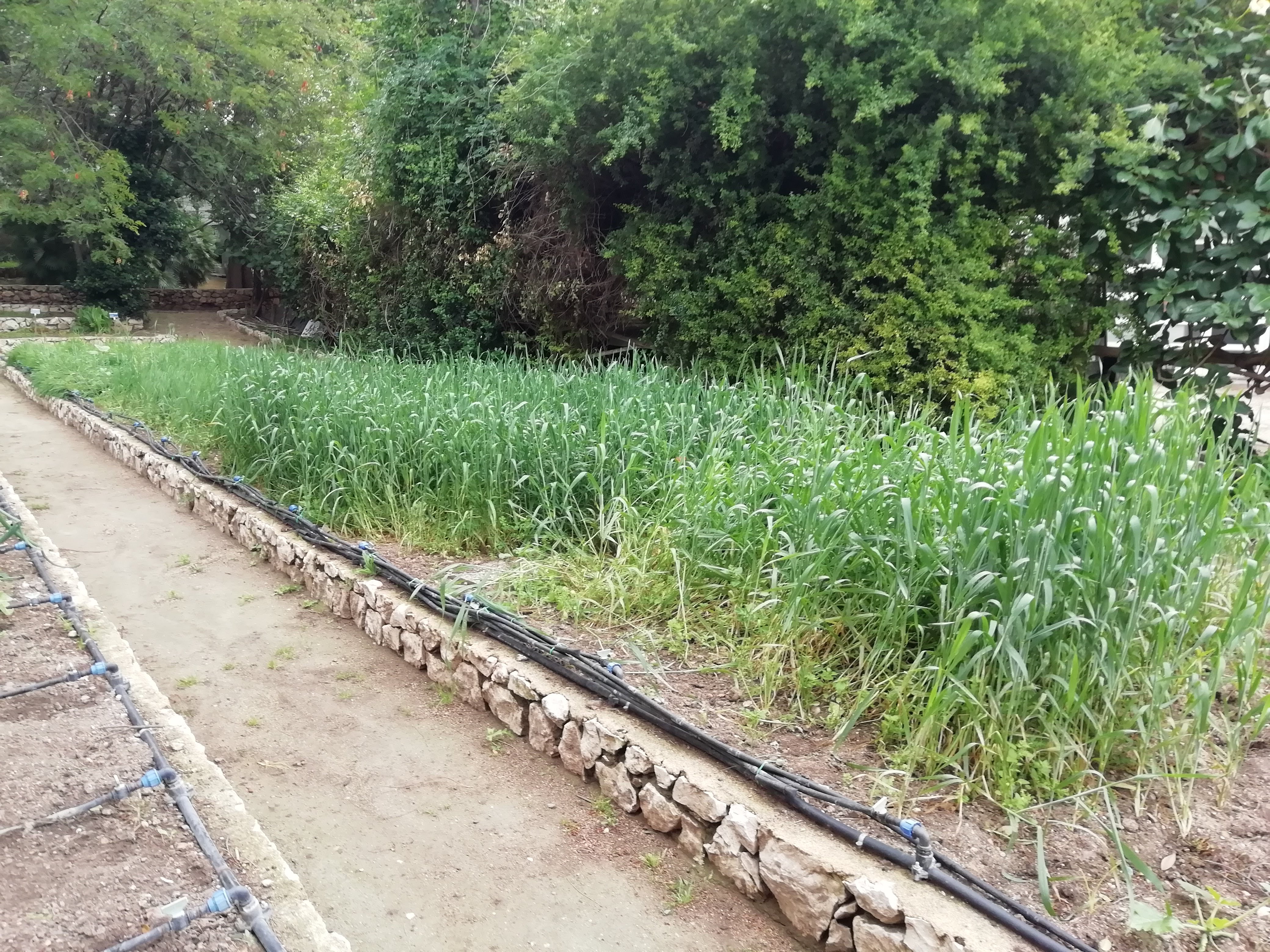 Il progetto &egrave; in collaborazione con l'Agenzia Laore