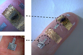 Le immagini si riferiscono al recente studio - prodotto al Diee e firmato anche da Annalisa Bonfiglio - sulla pelle artificiale