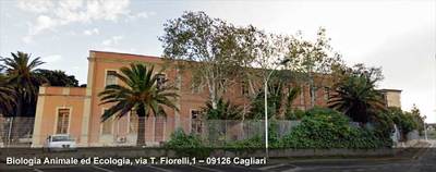 Cagliari. Il dipartimento di Scienze della vita e dell'ambiente