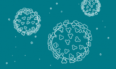 Scambio e inter relazioni fruttuose tra atenei