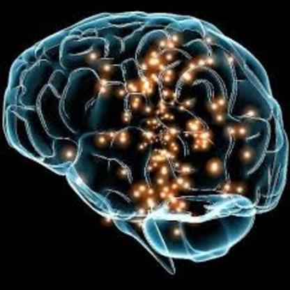 Un'immagine tratta da Neuropsichofarmacology (twitter)