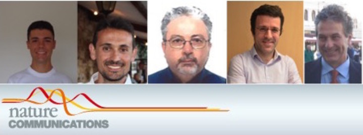Il team che ha firmato l'importante studio su Nature communications: Andrea Urru, Francesco Ricci, Alessio Filippetti, Jorge Iniguez e Vincenzo Fiorentini