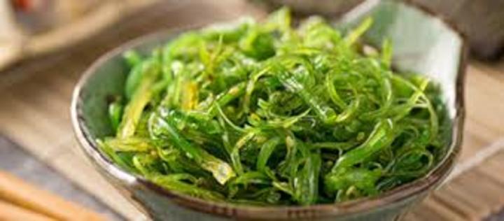 Le potenzialit&agrave; di utilizzo delle microalghe vanno dall'alimentare alla cosmesi