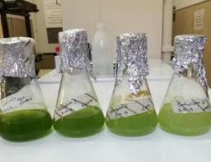 Il progetto &egrave; uno dei 35 progetti cluster curati da Sardegna Ricerche e finanziato dal Por Fesr 2014/20