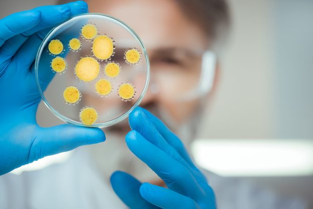 Secondo l'OMS l'antibiotico-resistenza potrebbe causare oltre 10 milioni di morti all'anno entro il 2050