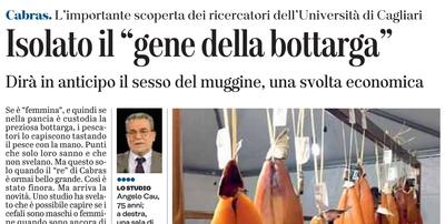 L'articolo su L'Unione Sarda del 2 dicembre 2020 a pagina 37
