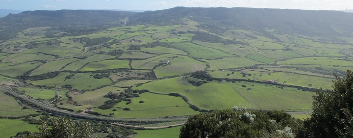 Terre civiche. L'iimagine è tratta dall'archivio di UniCa (foto Copagri Sardegna)