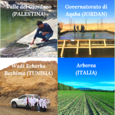 I quattro siti in cui opera MEDISS