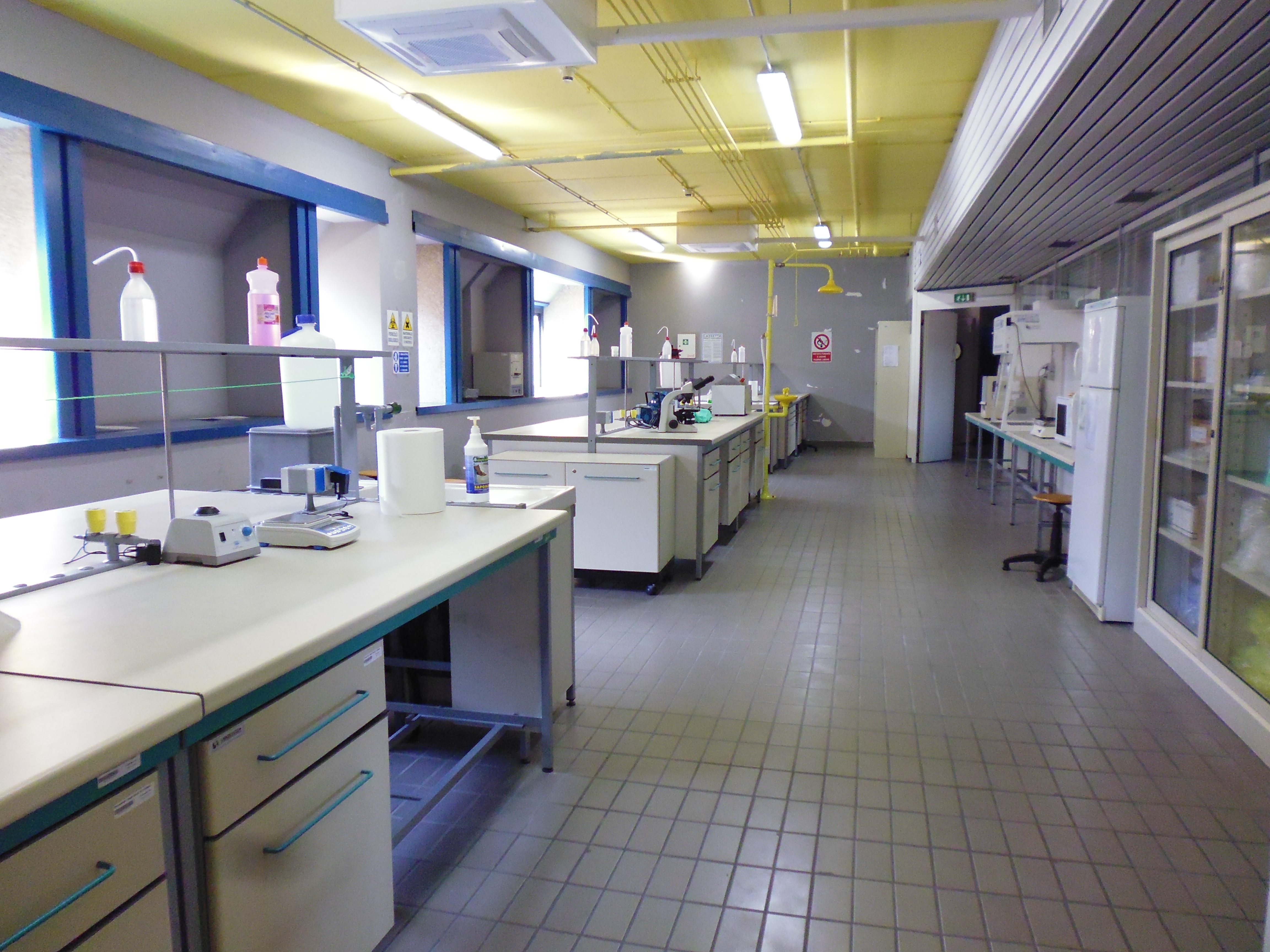 Laboratorio 2