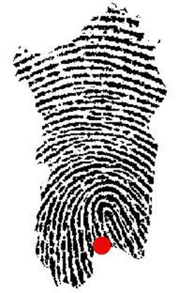 Il logo del Liv Det e una curiosa Sardegna stilizzata