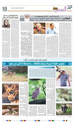 Pagina del giornale.jpg