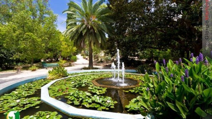 La meravigliosa vasca centrale dell'Orto Botanico di UniCa